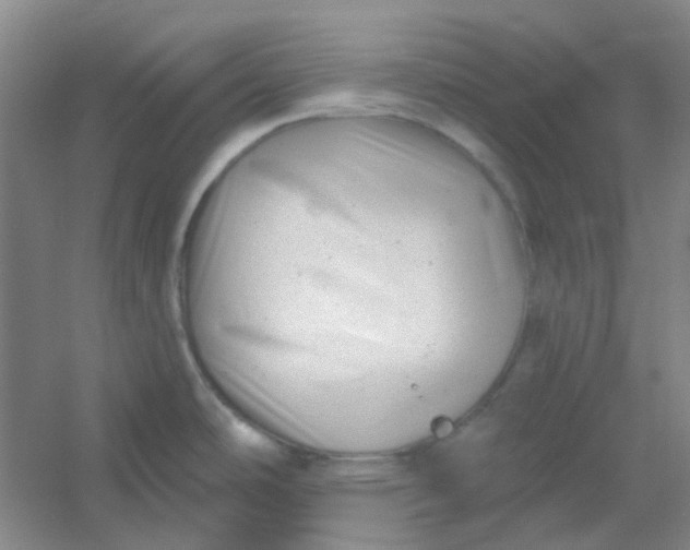 X0000054441486200508121831