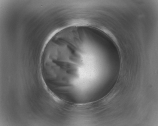 X0000054441488200508121831