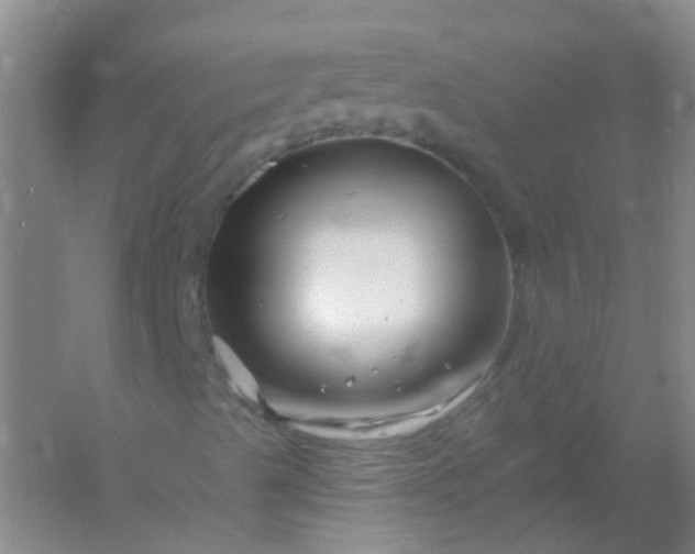 X0000054441489200508121831