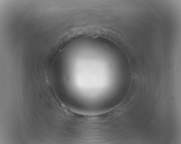 X0000054441490200508121831