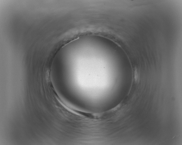 X0000054441492200508121831