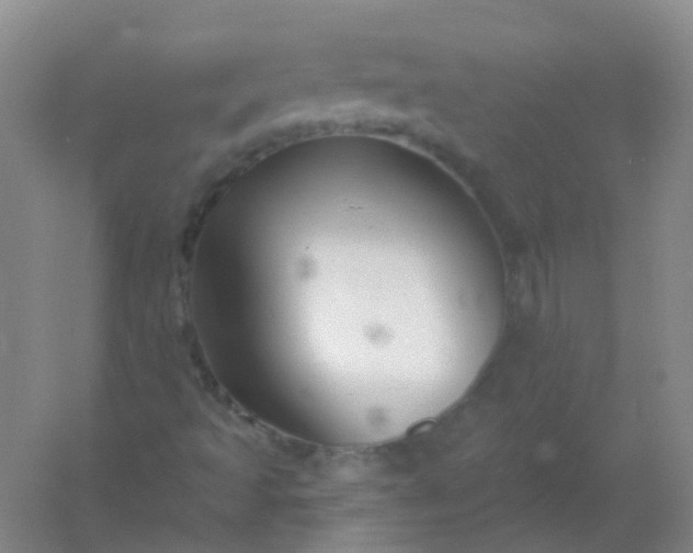 X0000054441493200508121831