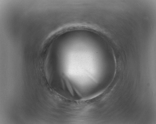 X0000054441494200508121831