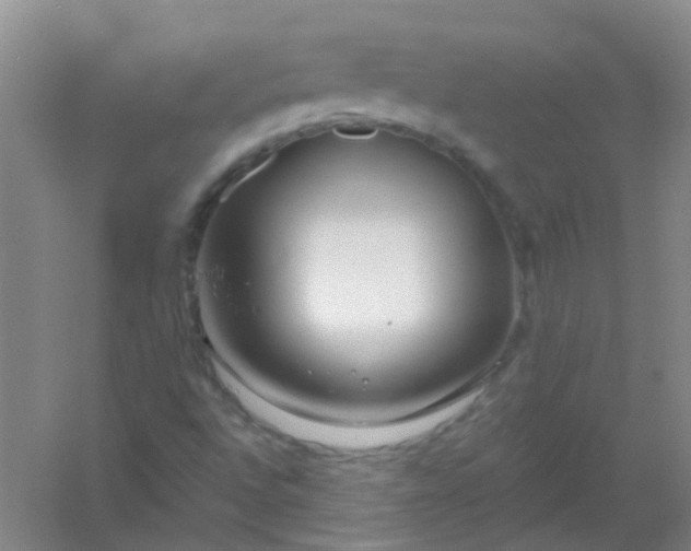 X0000054441496200508121831