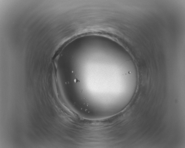 X0000054441497200508121831