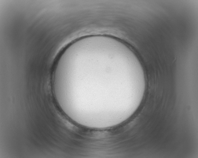 X0000054441498200508121831