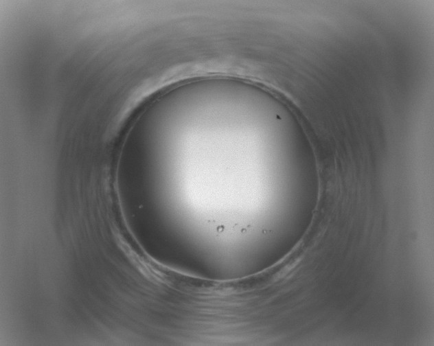 X0000054441499200508121831