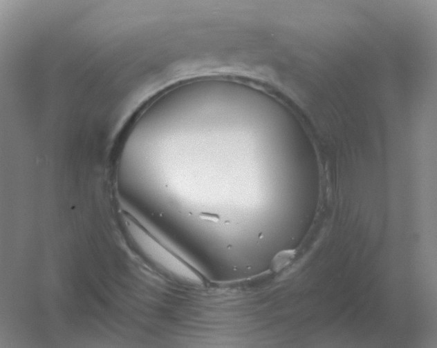 X0000054441501200508121831