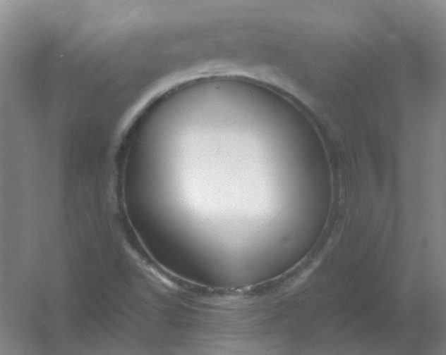 X0000054441502200508121831