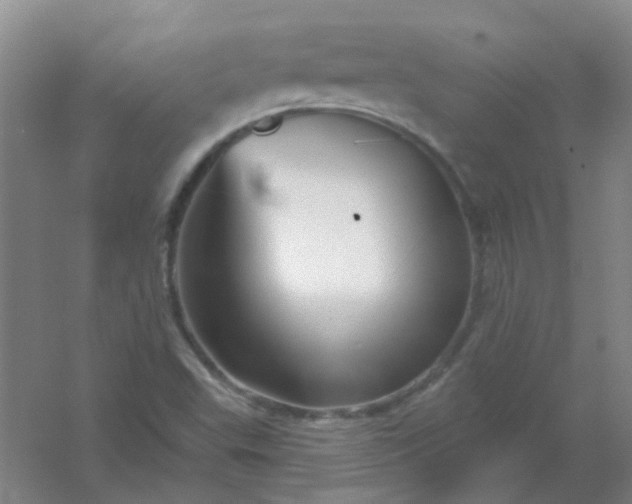 X0000054441503200508121831