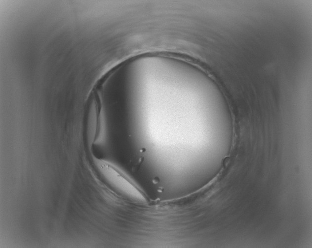 X0000054441505200508121831