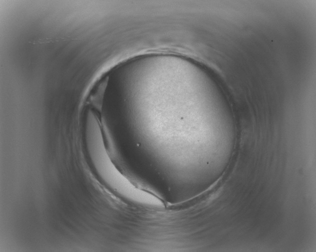 X0000054441506200508121831