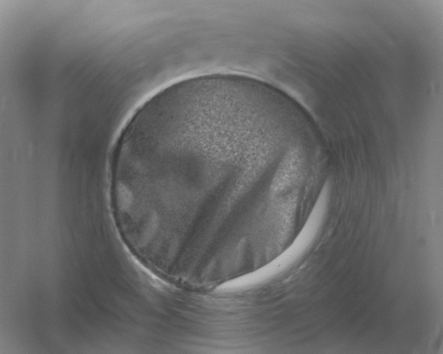 X0000054441508200508121831