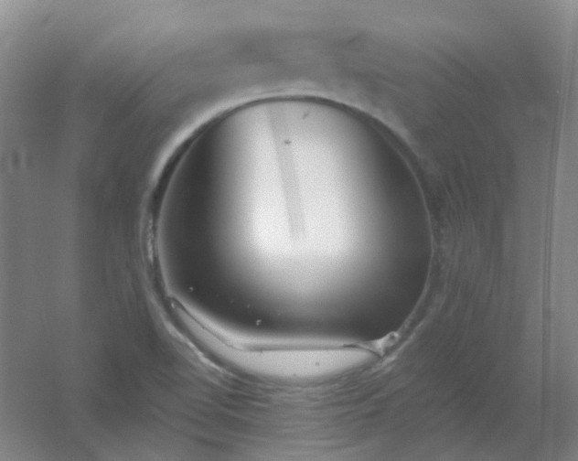 X0000054441510200508121831