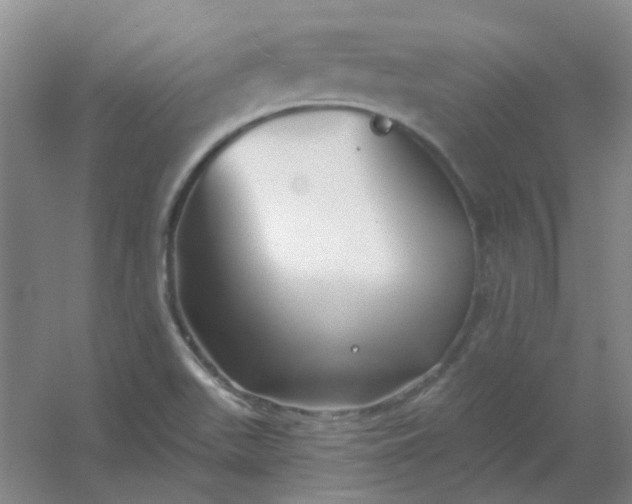 X0000054441511200508121831