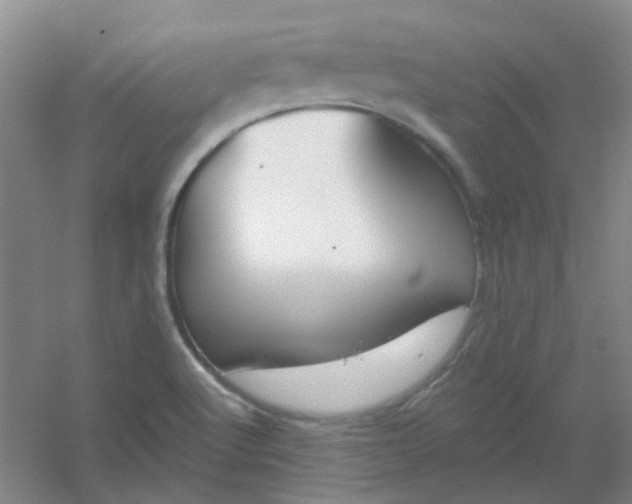 X0000054441512200508121831