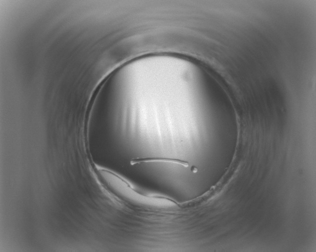 X0000054441513200508121831