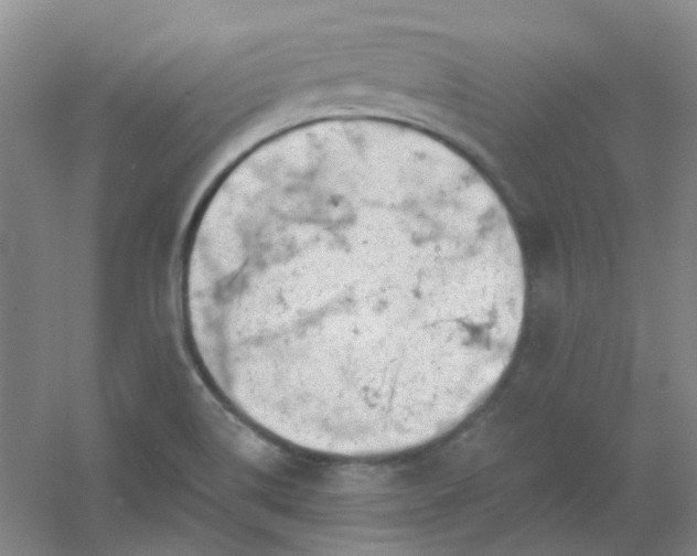 X0000054441514200508121831