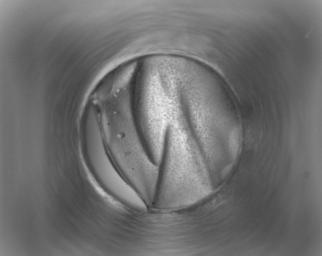 X0000054441515200508121831