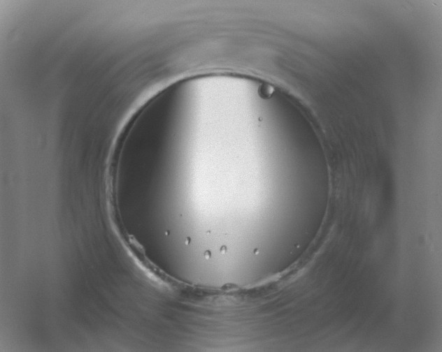 X0000054441517200508121831