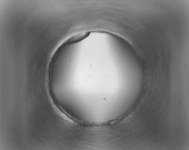 X0000054441518200508121831