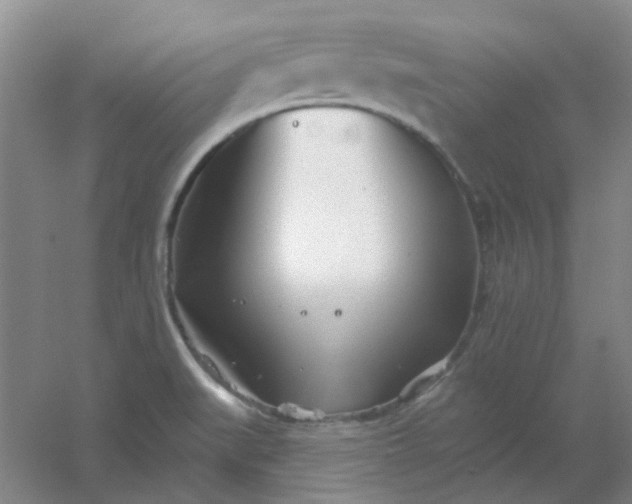 X0000054441519200508121831