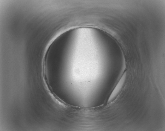 X0000054441520200508121831