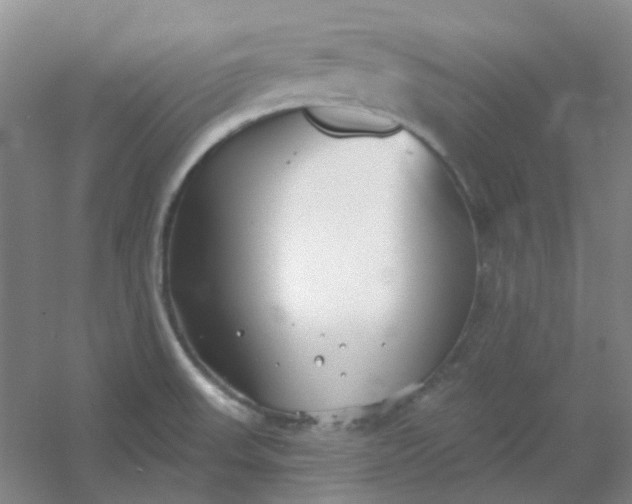 X0000054441523200508121831