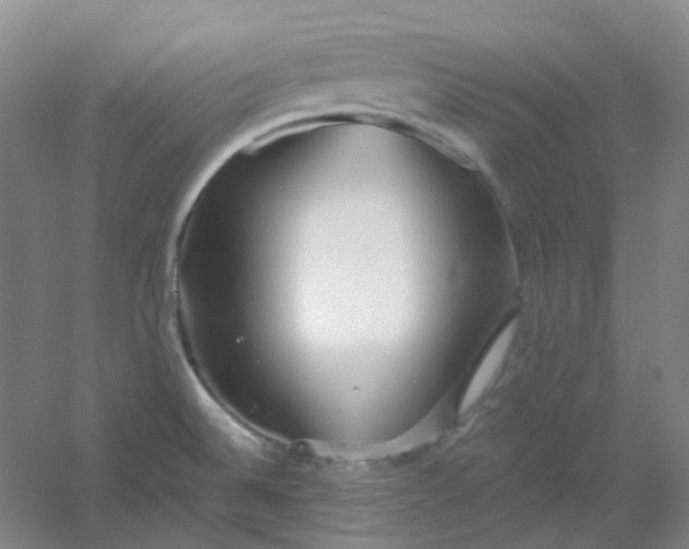 X0000054441524200508121831