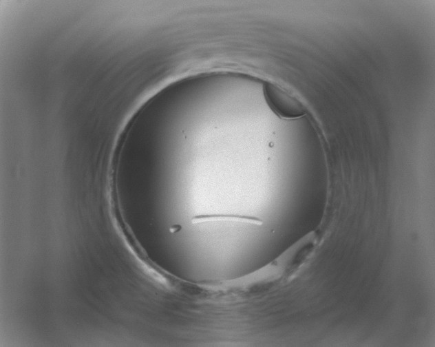 X0000054441525200508121831