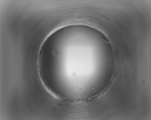 X0000054441526200508121831