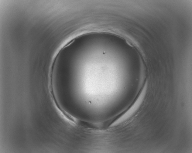 X0000054441528200508121831