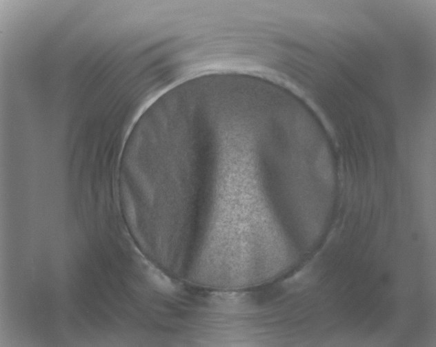 X0000054441529200508121831