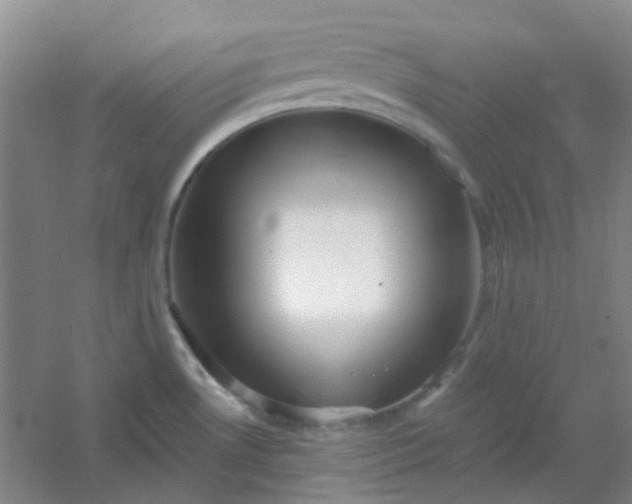 X0000054441530200508121831