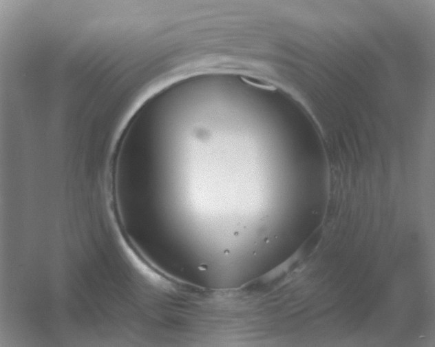 X0000054441531200508121831