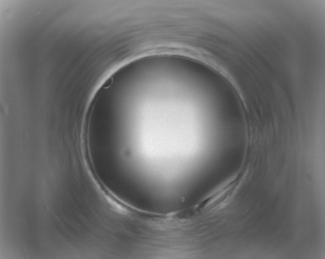 X0000054441533200508121831