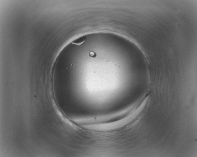 X0000054441534200508121831