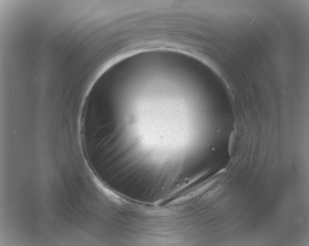 X0000054441535200508121831