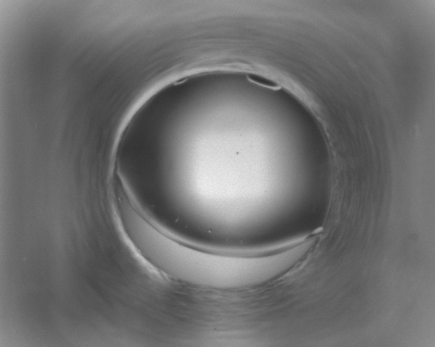 X0000054441536200508121831