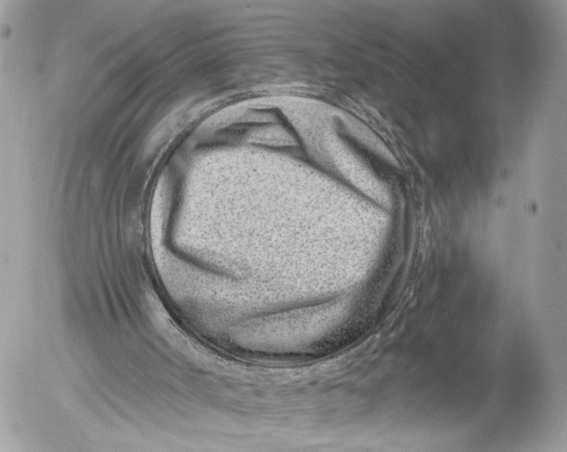 X0000054440002200508191623