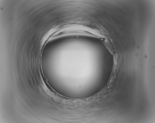 X0000054440003200508191623