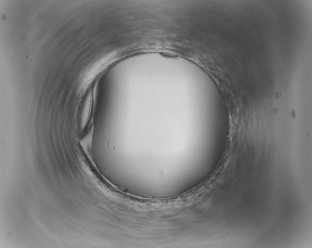 X0000054440005200508191623