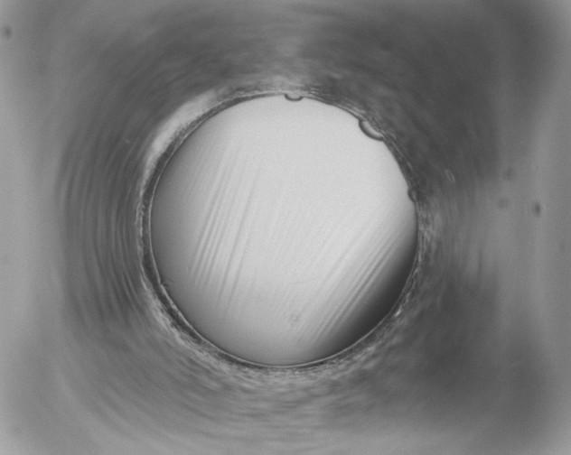 X0000054440006200508191623