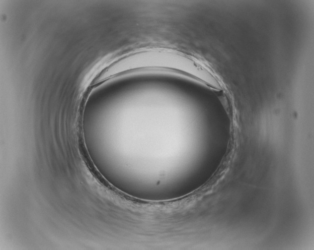 X0000054440007200508191623