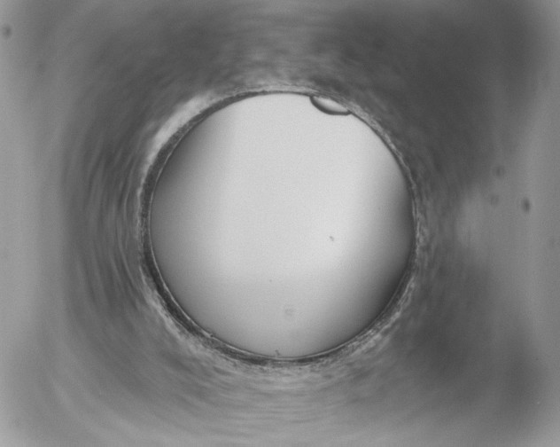 X0000054440008200508191623