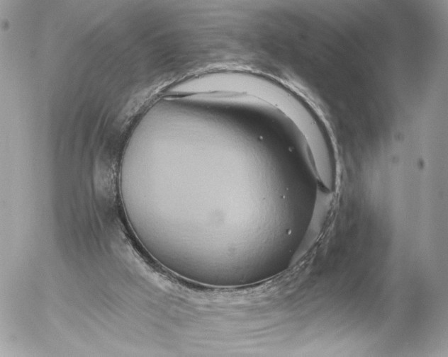 X0000054440009200508191623