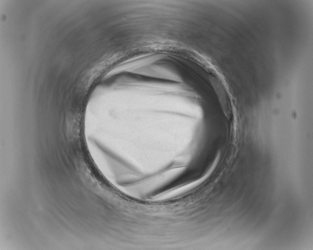 X0000054440010200508191623