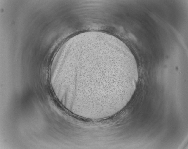 X0000054440012200508191623