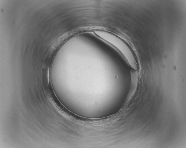 X0000054440013200508191623