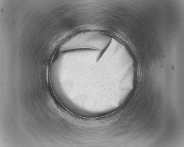 X0000054440014200508191623